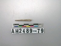 藏品(磨製石針)的圖片